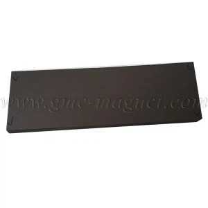 Ndfeb রাবার চুম্বক R5 F420x100x2.0mm বিক্রয়ের জন্য